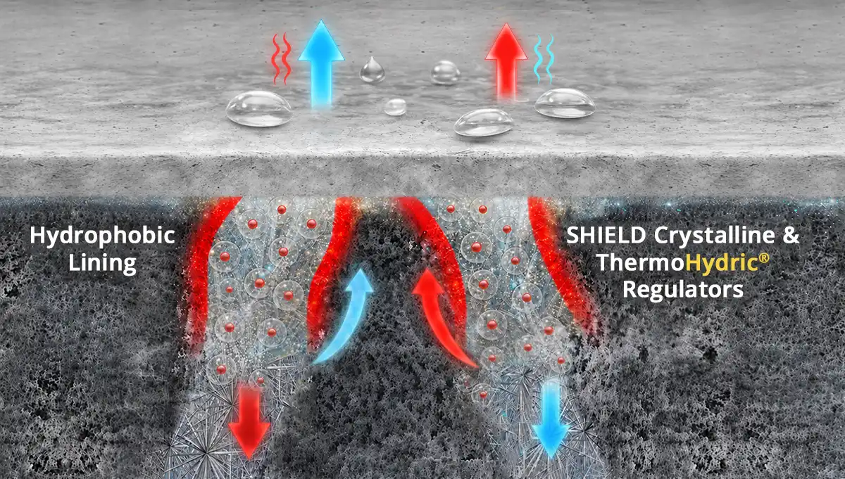 Hydrophobic Molecular Layer Mechanism