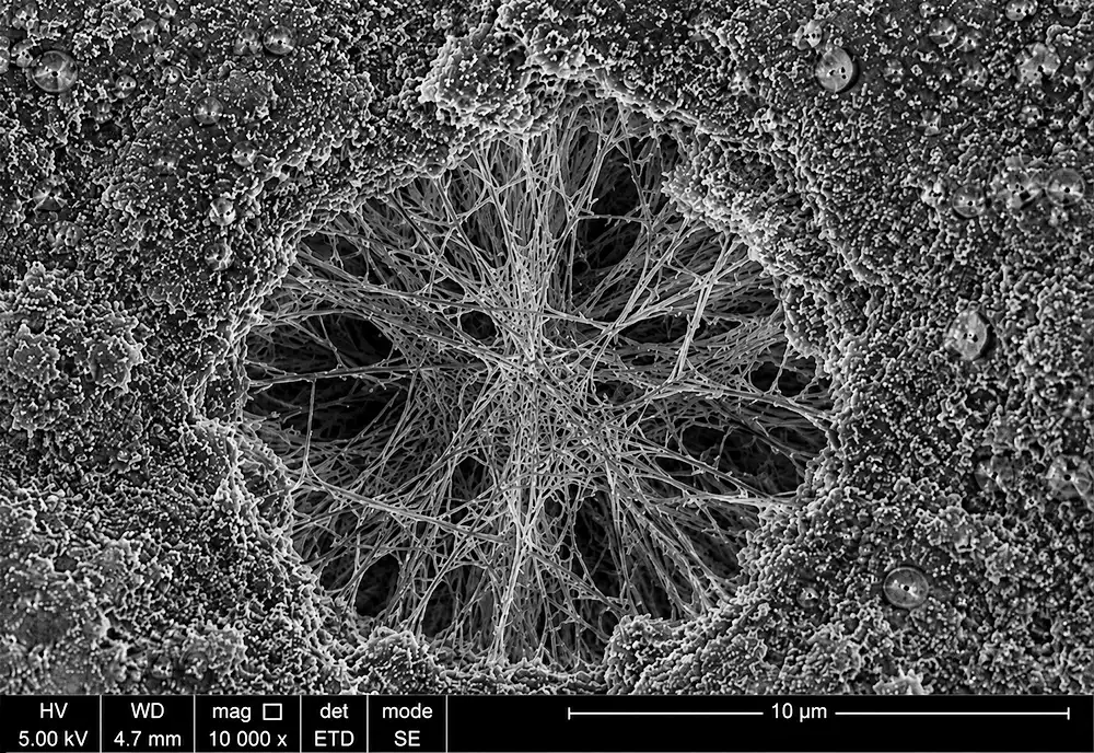 Crystalline structure