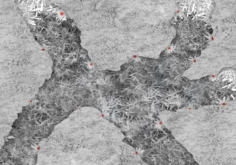 Dynamic Multifunctional Crystalline (DMC) Additives